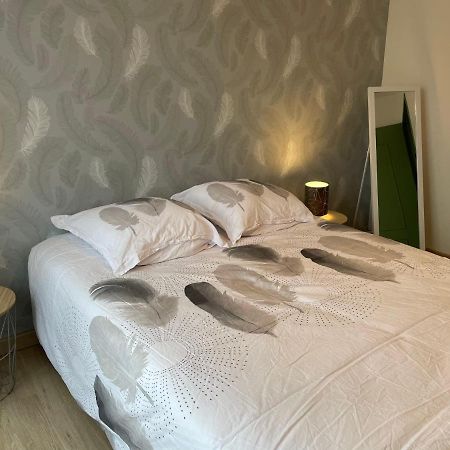 Appartement Du Grand Parc Шатору Экстерьер фото