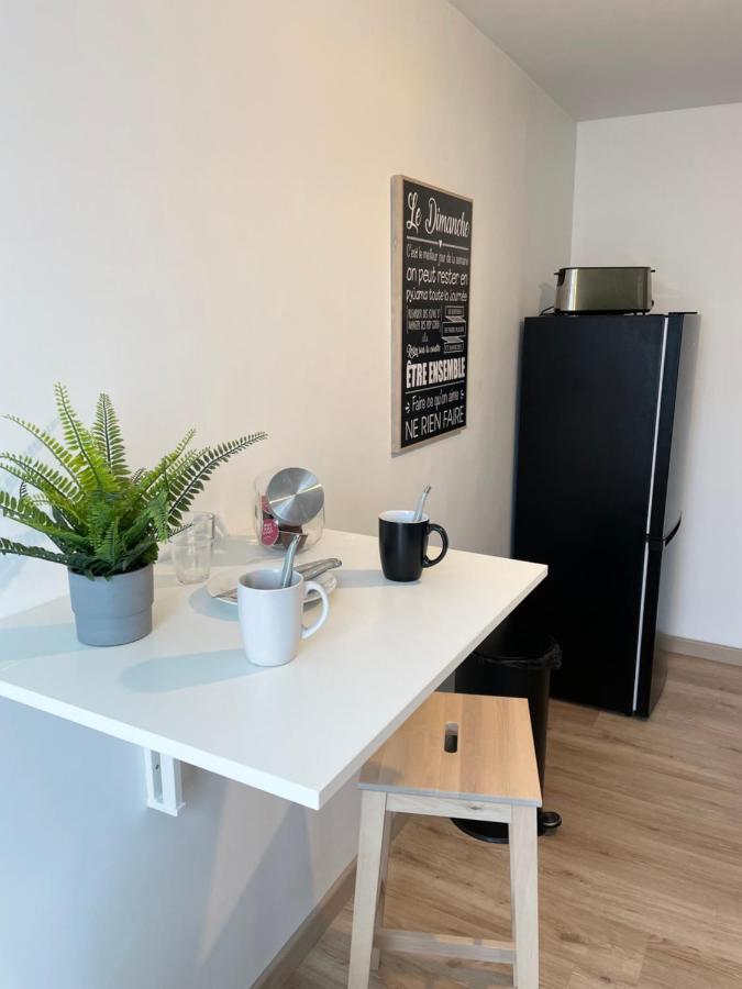 Appartement Du Grand Parc Шатору Экстерьер фото